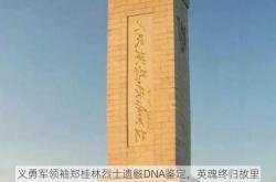 义勇军领袖郑桂林烈士遗骸DNA鉴定，英魂终归故里